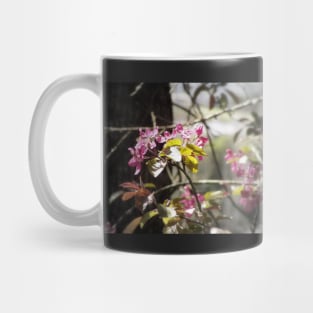 red Malus 'Radiant' crab apple blossoms #4 Mug